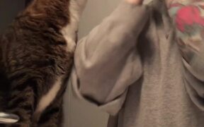 Cat Demands to Be Involved in Owner's Skincare