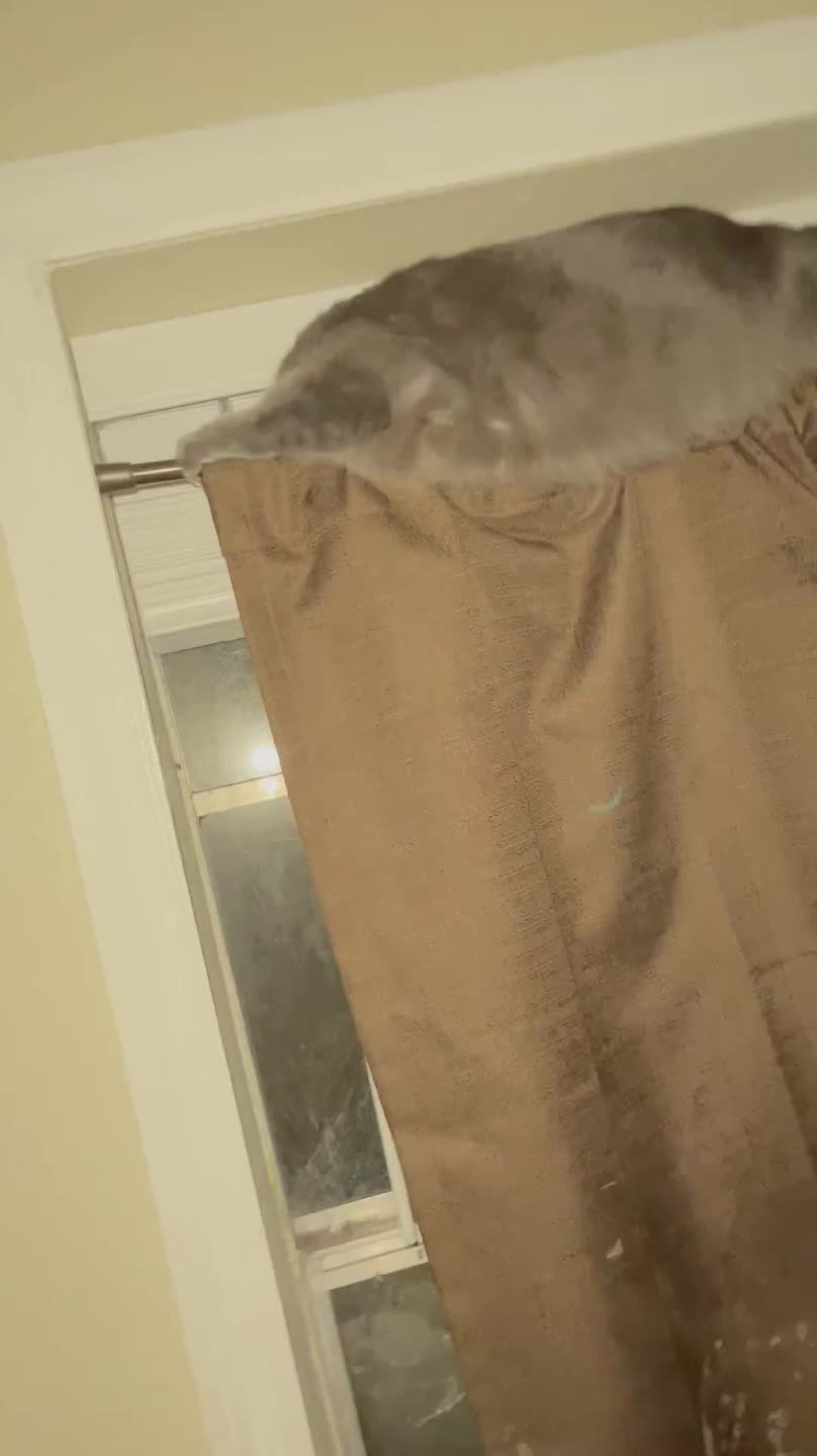 Person Watches Cat Tumbling Off Curtain Rod