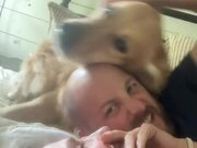 Golden Retriever Refuses to Leave Owners