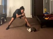 Rabbit Hits Back at Woman Play Fighting With Her