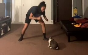 Rabbit Hits Back at Woman Play Fighting With Her