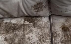 Puppy Completely Covers White Couch in Mud Stains