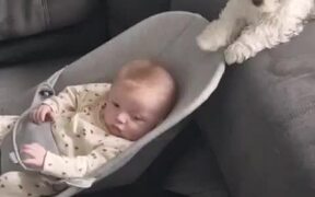 Puppy Rocks Baby in His Bouncer With His Paw