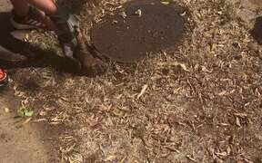 Man Rescues Armadillo Stuck in Water Shutoff Pipe