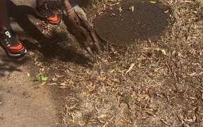 Man Rescues Armadillo Stuck in Water Shutoff Pipe