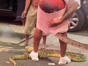 Snake Crawls Up Inside Man's Pants
