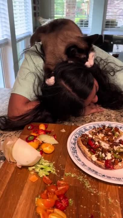 Cat Sits on Girl's Head and Watches Her Phone