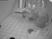 Ferret Steals Toy From Baby's Crib