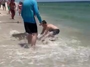 Man Rescues Blacktip Shark Washed Up on Beach