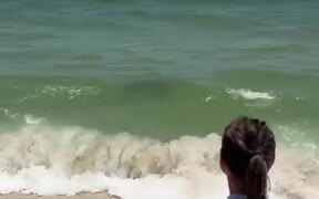 Man Rescues Blacktip Shark Washed Up on Beach
