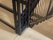 Woman Gets Chased by Raccoons on Stairs