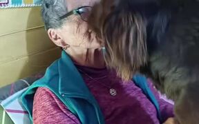 Dog Gives Grandma Good Night Kiss