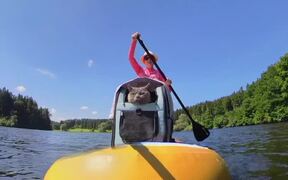Cat Enjoys His 1st Ever Paddleboarding Experience