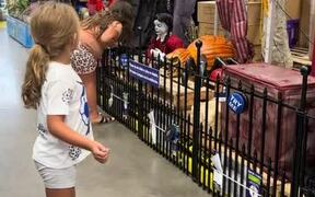 Halloween Display Scares Kids at Store
