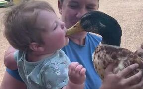 Kid Trying to Kiss Duck Takes Their Beak in Mouth