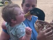 Kid Trying to Kiss Duck Takes Their Beak in Mouth
