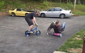 Dog Knocks Over Man Riding Toy Bike