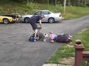 Dog Knocks Over Man Riding Toy Bike