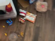 House Alarm Goes off When Dogs Enter to Steal Food
