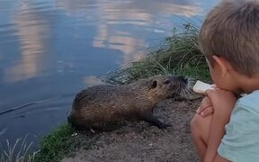 Father and Son Feed Piece of Bread to Beaver