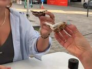 Girl Spits Out Oyster After Trying it For 1st Time
