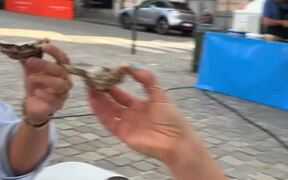 Girl Spits Out Oyster After Trying it For 1st Time