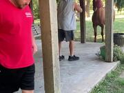 Horse Charges at Man While Playing With Ball