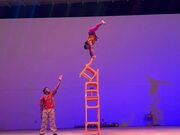 Duo Performs Wonderful Aerial Acts on Stage