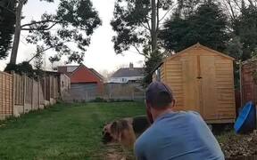 Man Plays Cricket With Pet German Shepherd