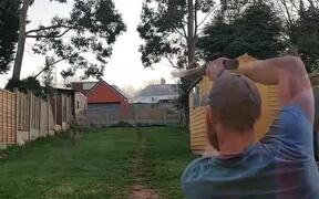 Man Plays Cricket With Pet German Shepherd