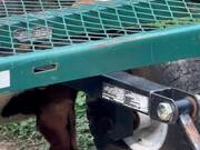 Dog Tries to Eat Food From Under Trailer