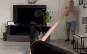 Dog Reacts When Owner Calls Him Through Tube
