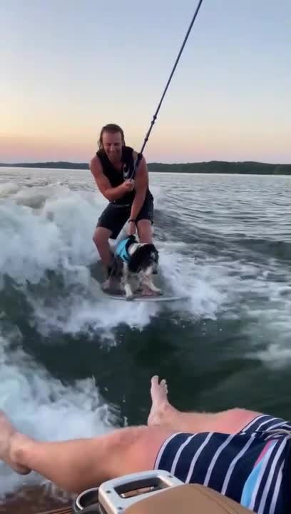 Man Surfs the Waves With Dog on Same Board