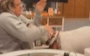 Dog Mistakenly Slaps Woman While Playing With Her