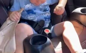 Kid Gets Stressed as Animals Approach His Car