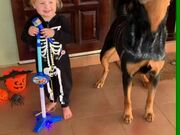 Dog and Toddler Dress Up as Skeletons