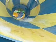 Guy Falls Off Cloverleaf Tube in Middle of a Slide