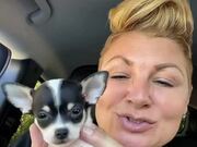 Mom Surprises Kid With New Puppy