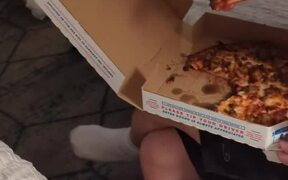 Duck Hilariously Slides While Trying to Eat Pizza