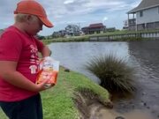 Person Watches Little Son Offer Food to Turtles