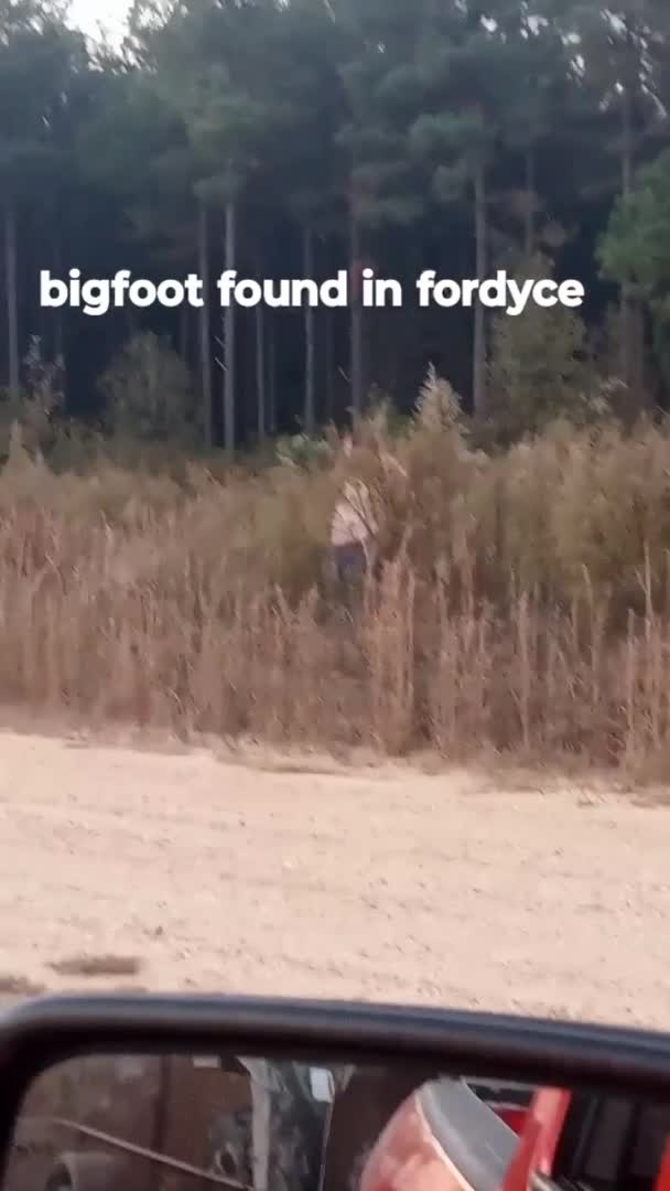 Man Pretending to Be Big Foot Hilariously Falls