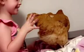 Little Girl Brings Chicken to Her Bed