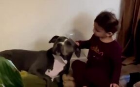 Person Watches Little Kid Play With Dog