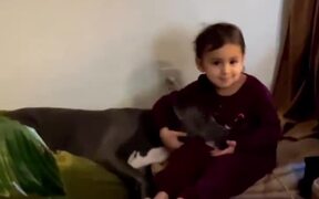 Person Watches Little Kid Play With Dog