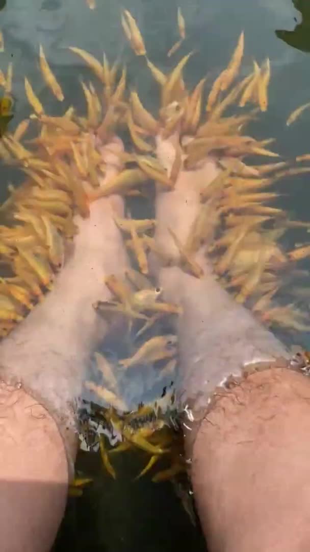 Person Puts Feet Underwater to Get Foot Massage