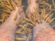 Person Puts Feet Underwater to Get Foot Massage