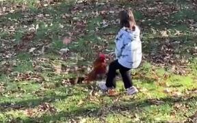 Girl Gets Chased by Rooster After Teasing Him