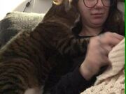 Cat Cuddles Up With Woman as She Tries to Crochet