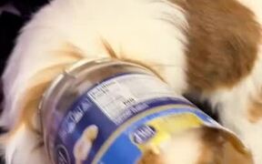 Puppy Continues Eating Peanut Butter