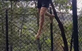 Man Falls Through Trampoline